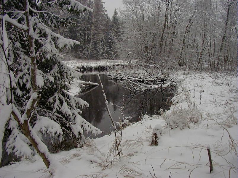 Sirtsu rabas dets. 2002