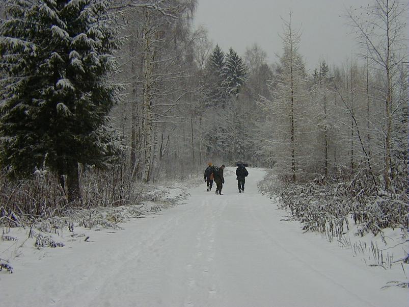 Sirtsu rabas dets. 2002