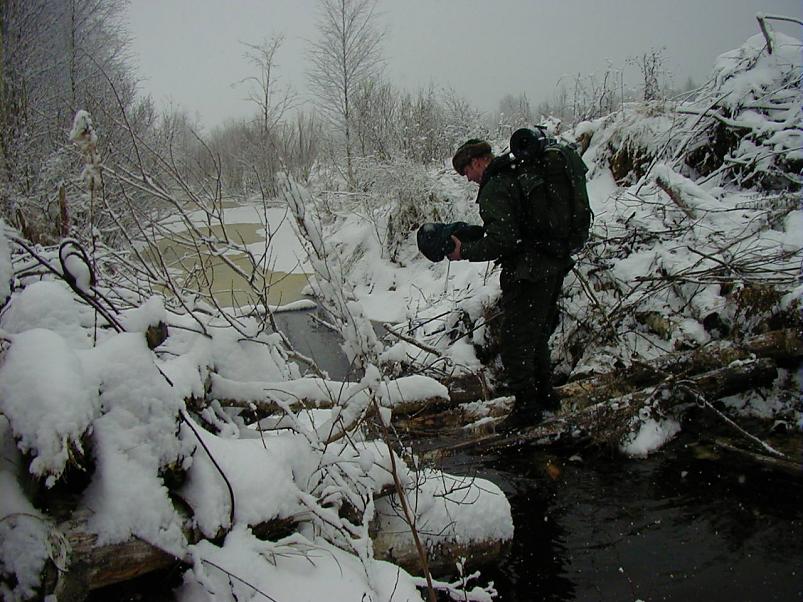 Sirtsu rabas dets. 2002