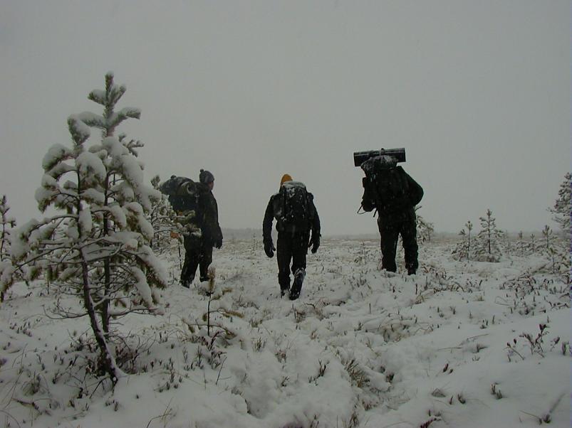 Sirtsu rabas dets. 2002