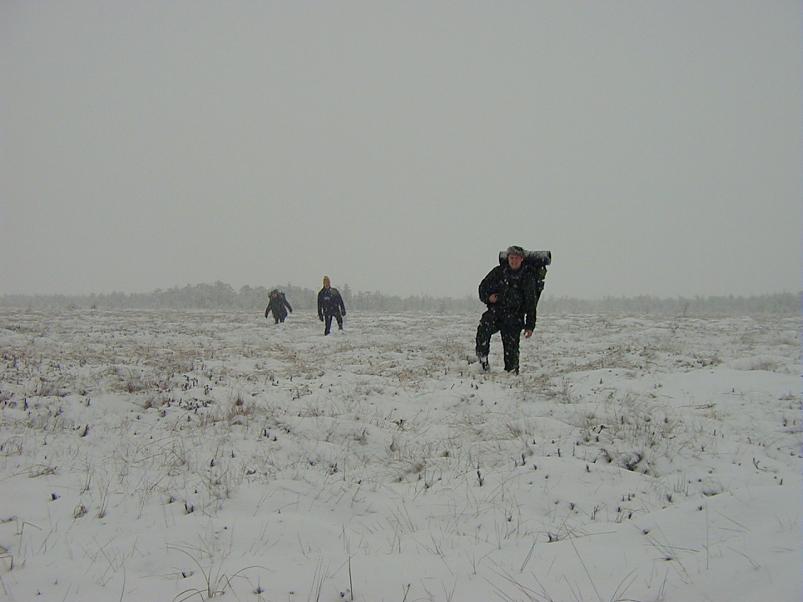 Sirtsu rabas dets. 2002