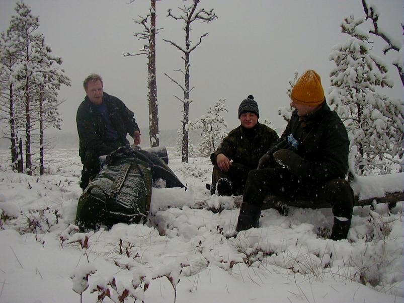 Sirtsu rabas dets. 2002