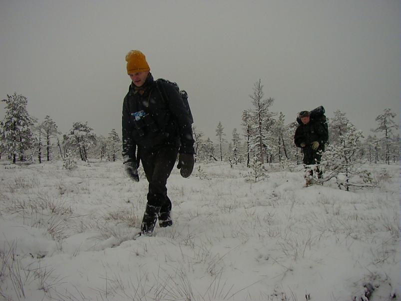 Sirtsu rabas dets. 2002