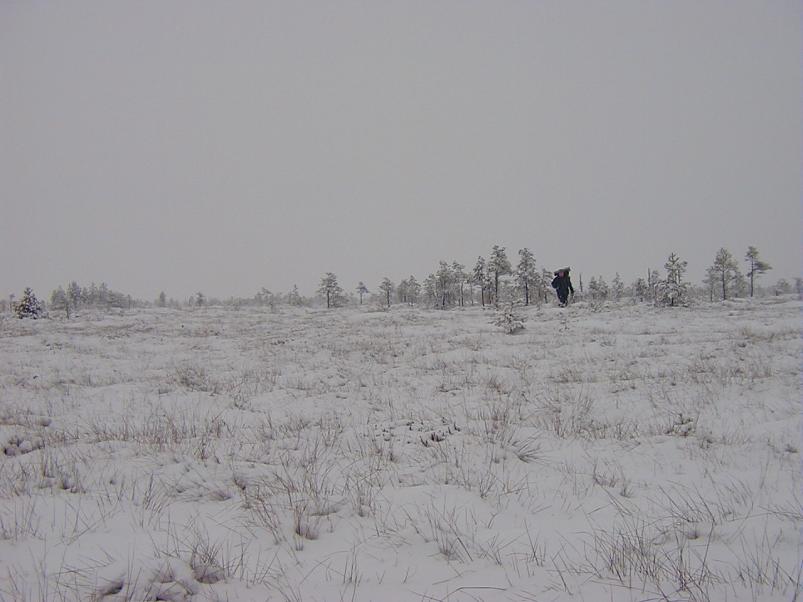 Sirtsu rabas dets. 2002