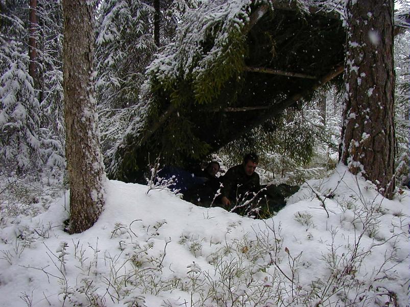 Sirtsu rabas dets. 2002