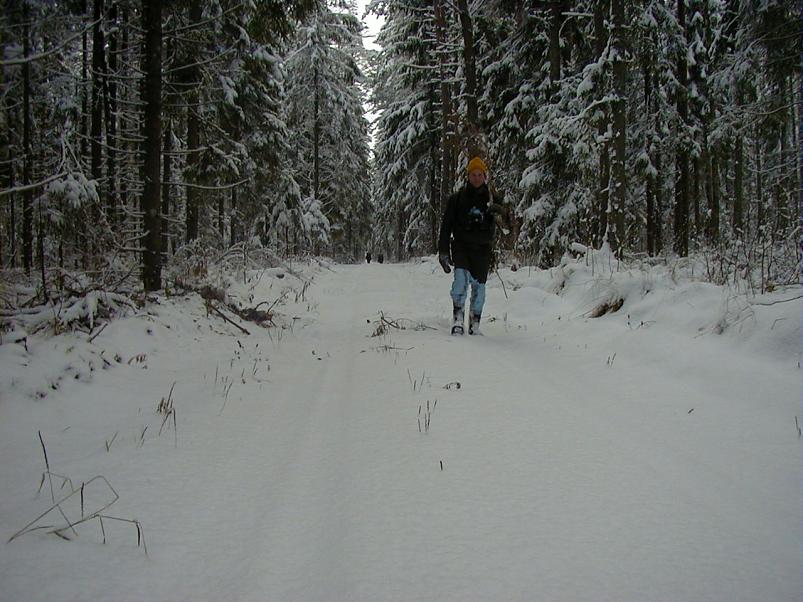 Sirtsu rabas dets. 2002