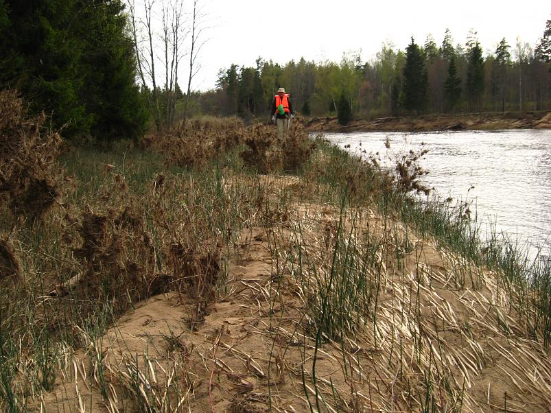 Koiva III etapp 2010