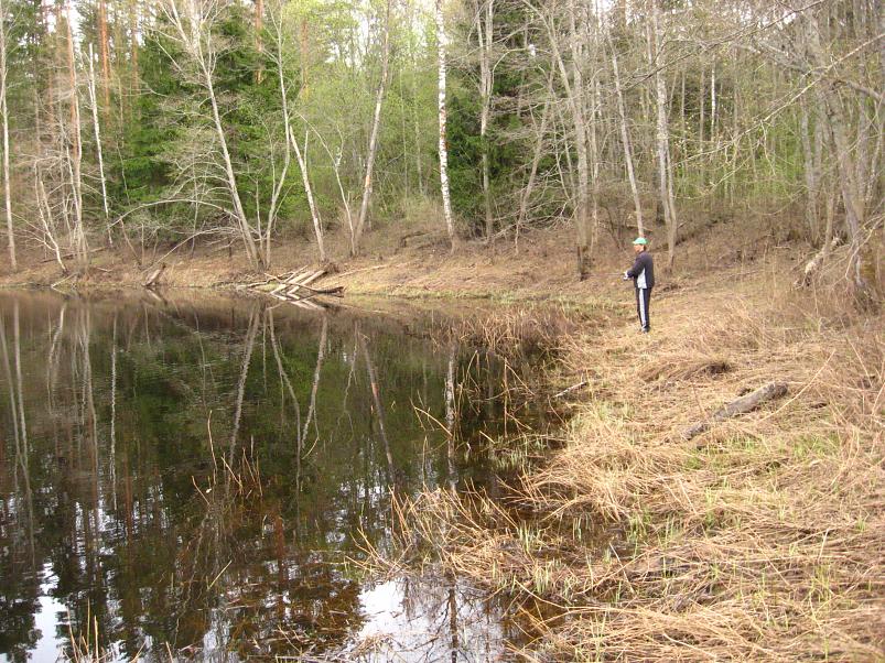 Koiva III etapp 2010