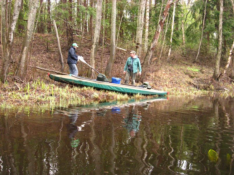 Koiva III etapp 2010