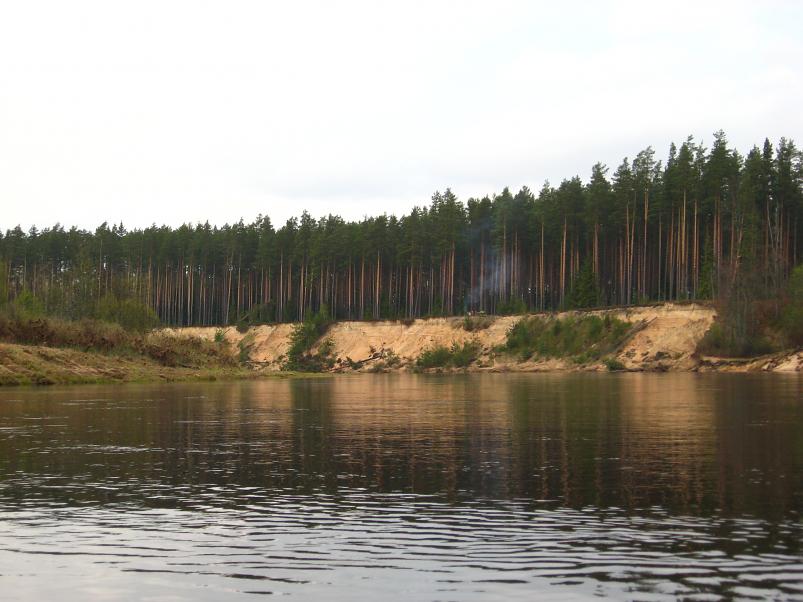 Koiva III etapp 2010