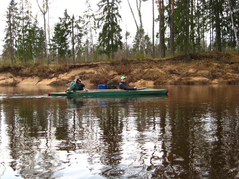 Koiva III etapp 2010