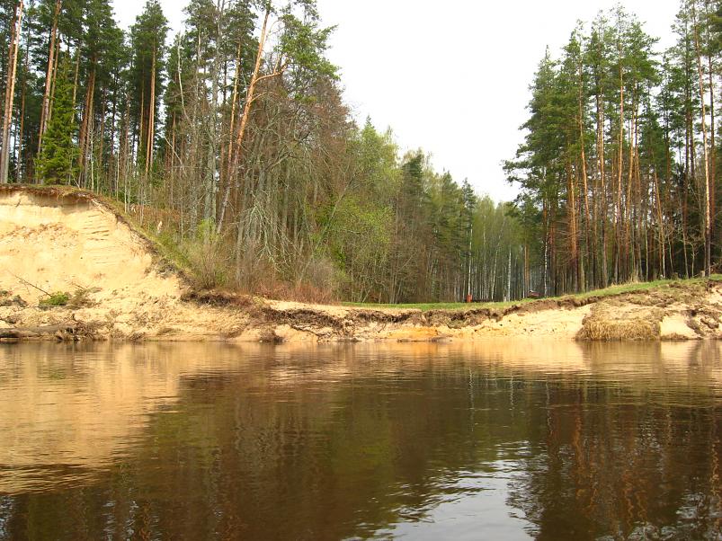 Koiva III etapp 2010