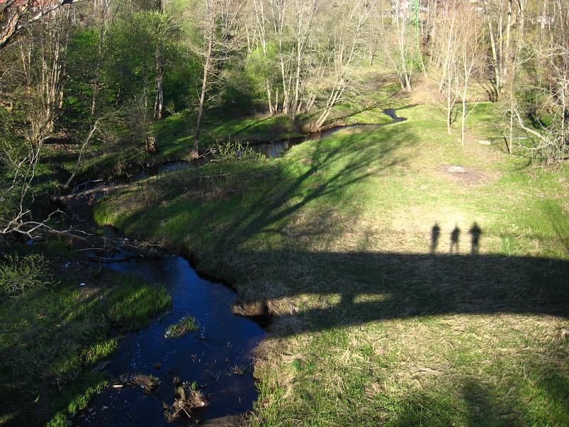 Koiva III etapp 2010