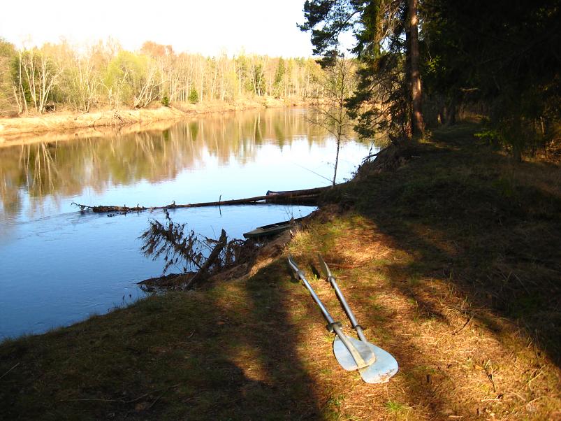 Koiva III etapp 2010