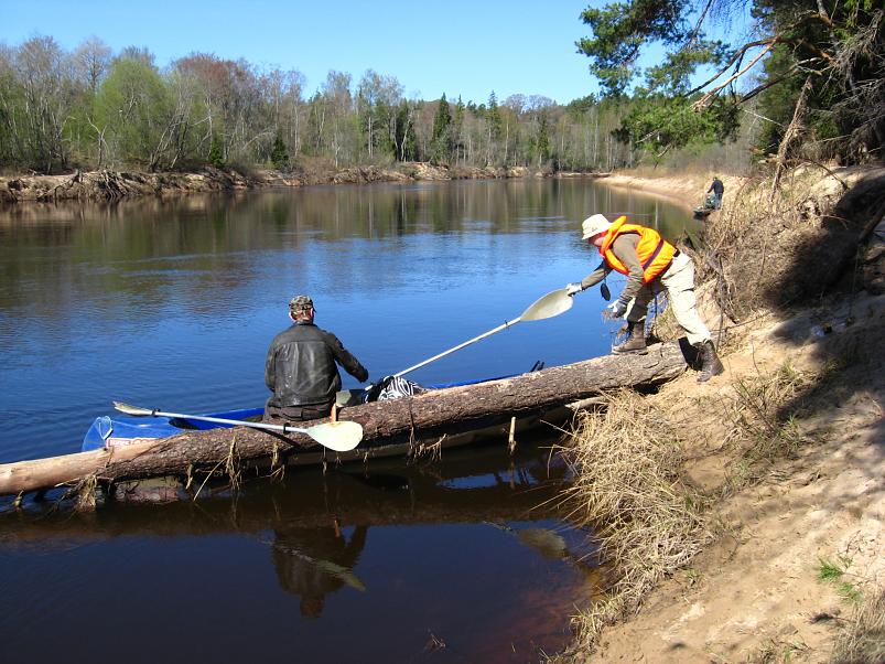 Koiva III etapp 2010