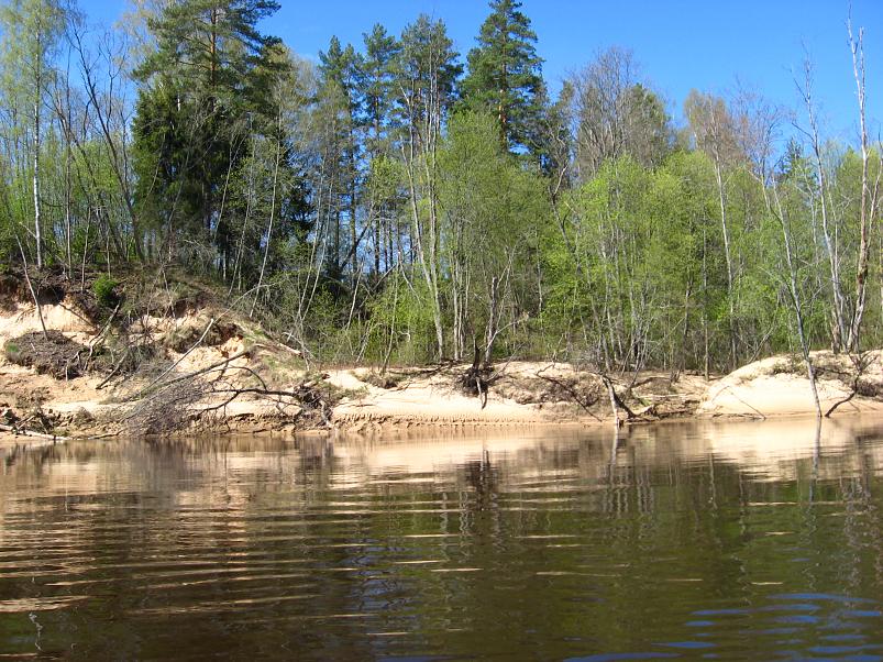 Koiva III etapp 2010