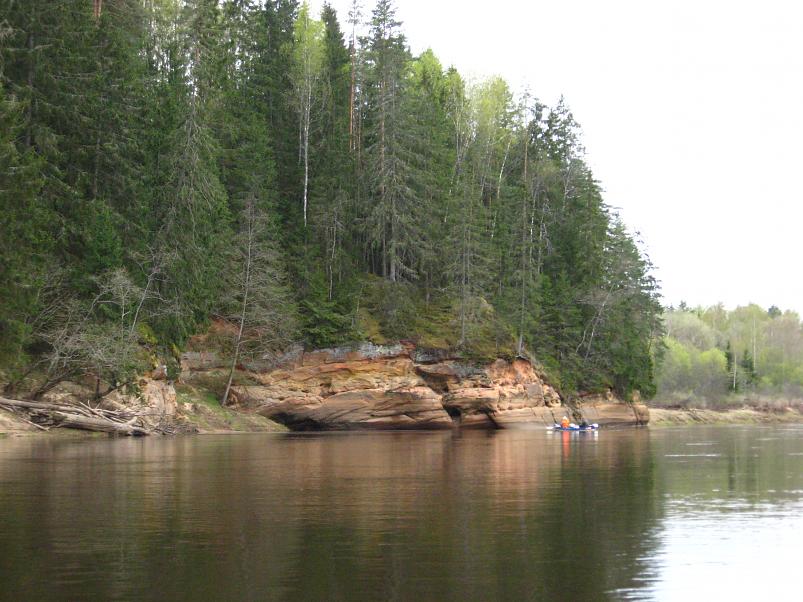 Koiva III etapp 2010