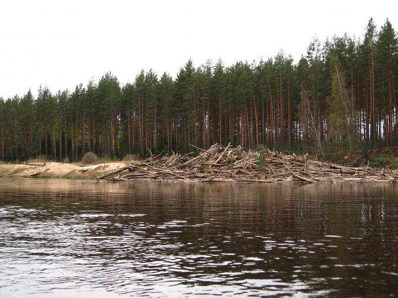 Koiva III etapp 2010