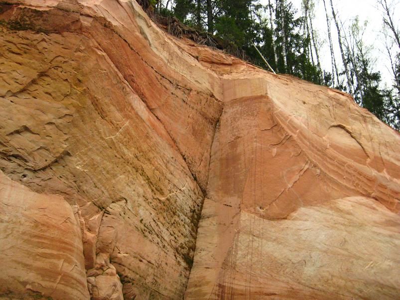 Koiva III etapp 2010