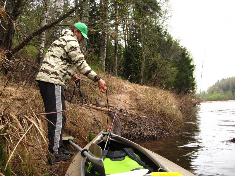 Koiva III etapp 2010