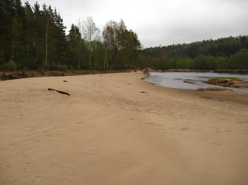 Koiva III etapp 2010