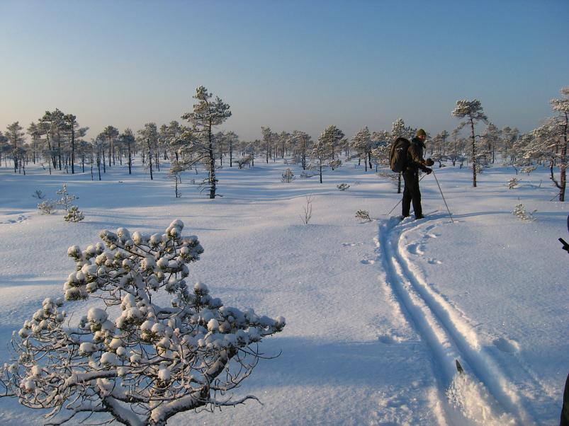 P�drasoos jaan. 2010