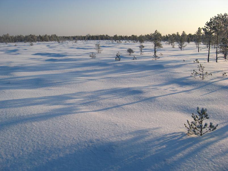 P�drasoos jaan. 2010