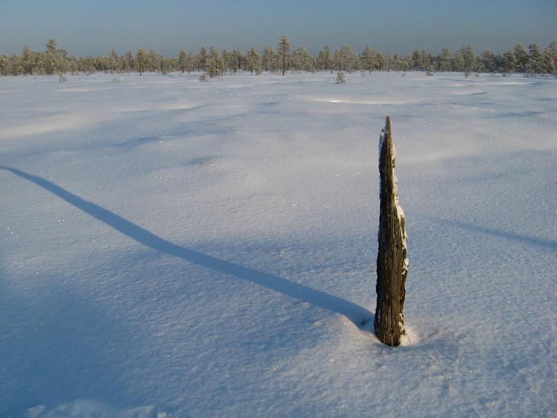 P�drasoos jaan. 2010