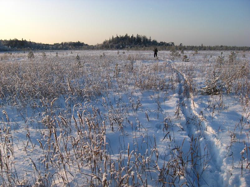 P�drasoos jaan. 2010