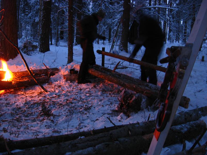 P�drasoos jaan. 2010