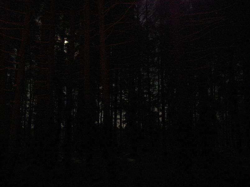 P�drasoos jaan. 2010