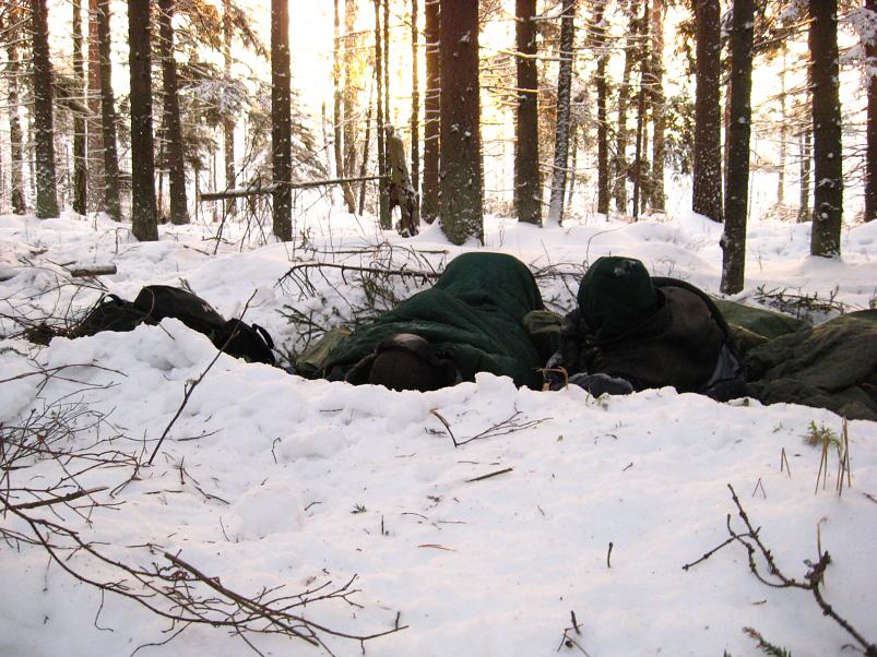 P�drasoos jaan. 2010