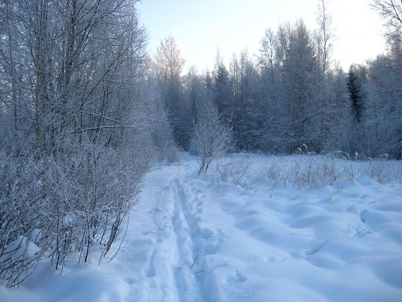 P�drasoos jaan. 2010