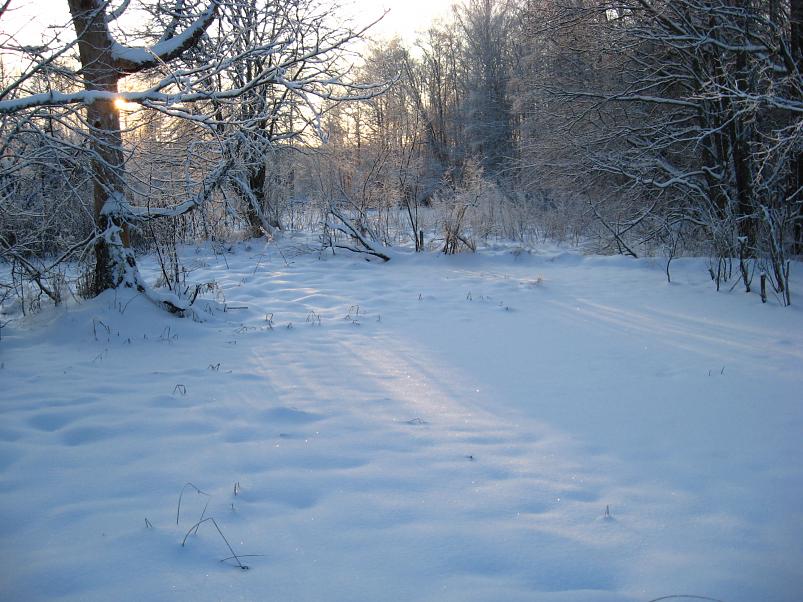 P�drasoos jaan. 2010