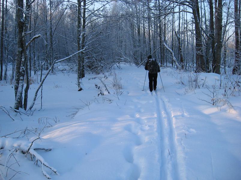 P�drasoos jaan. 2010