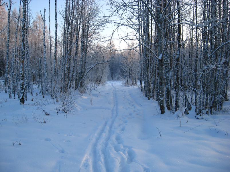 P�drasoos jaan. 2010