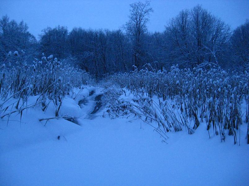 P�drasoos jaan. 2010