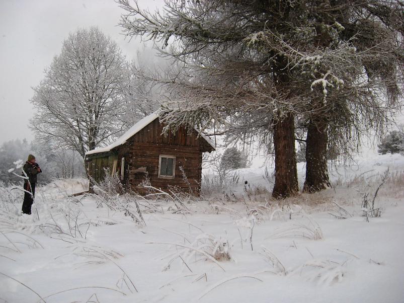 P�drasoos jaan. 2010