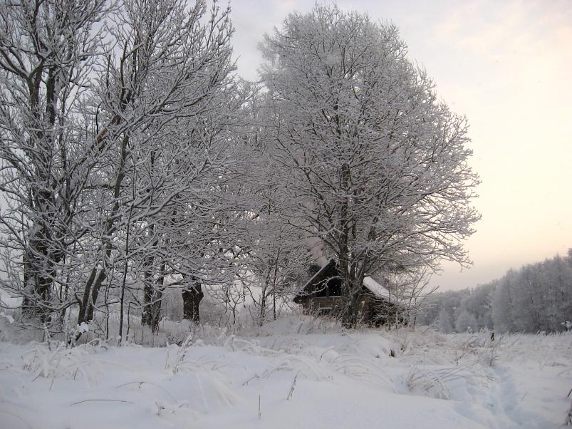 P�drasoos jaan. 2010