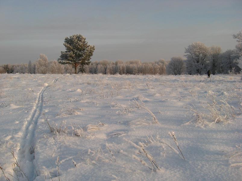 P�drasoos jaan. 2010