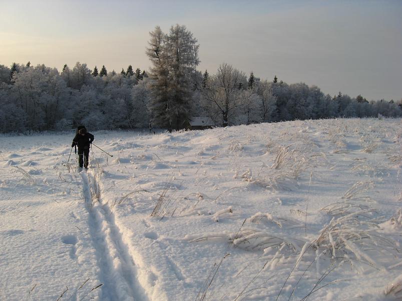 P�drasoos jaan. 2010