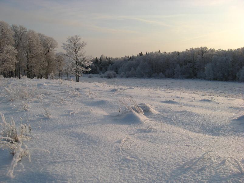 P�drasoos jaan. 2010