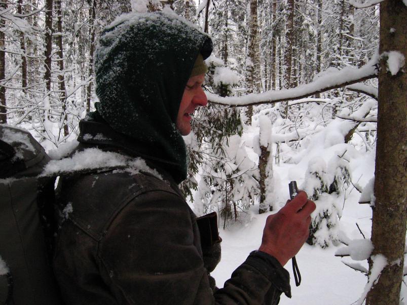 P�drasoos jaan. 2010