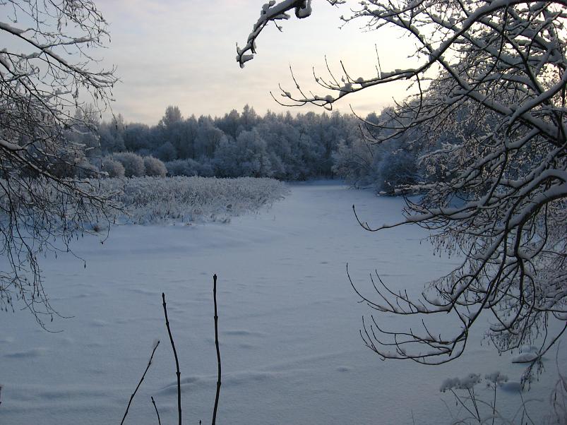 P�drasoos jaan. 2010