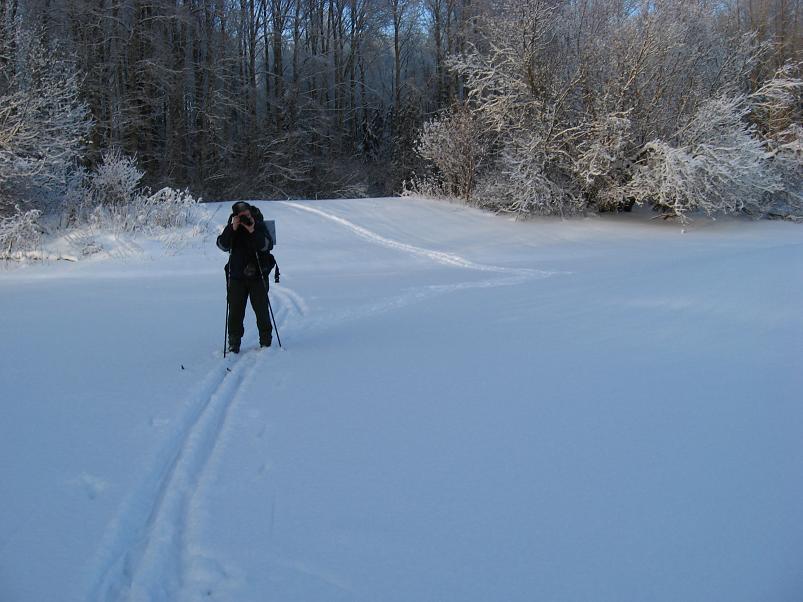 P�drasoos jaan. 2010