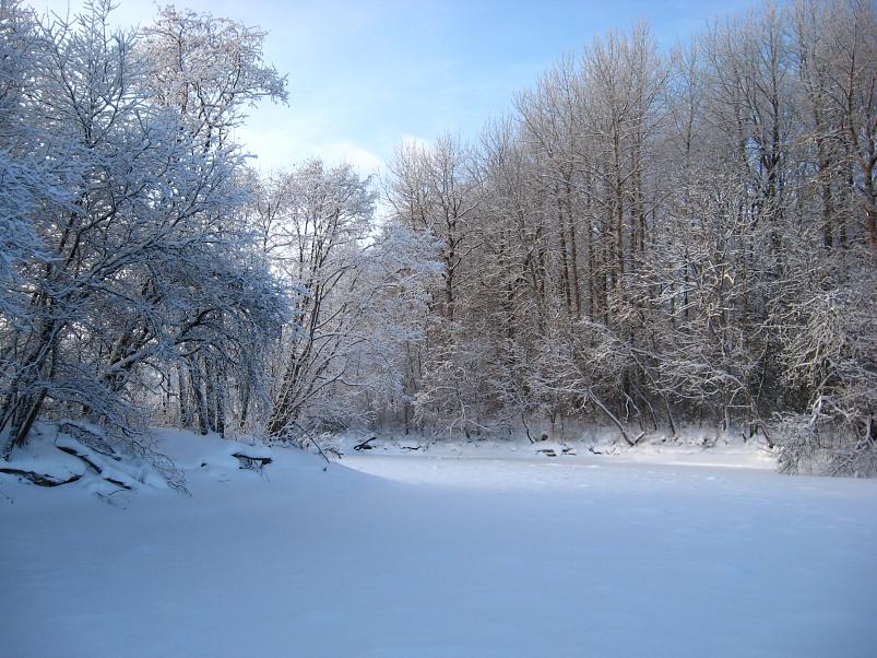 P�drasoos jaan. 2010