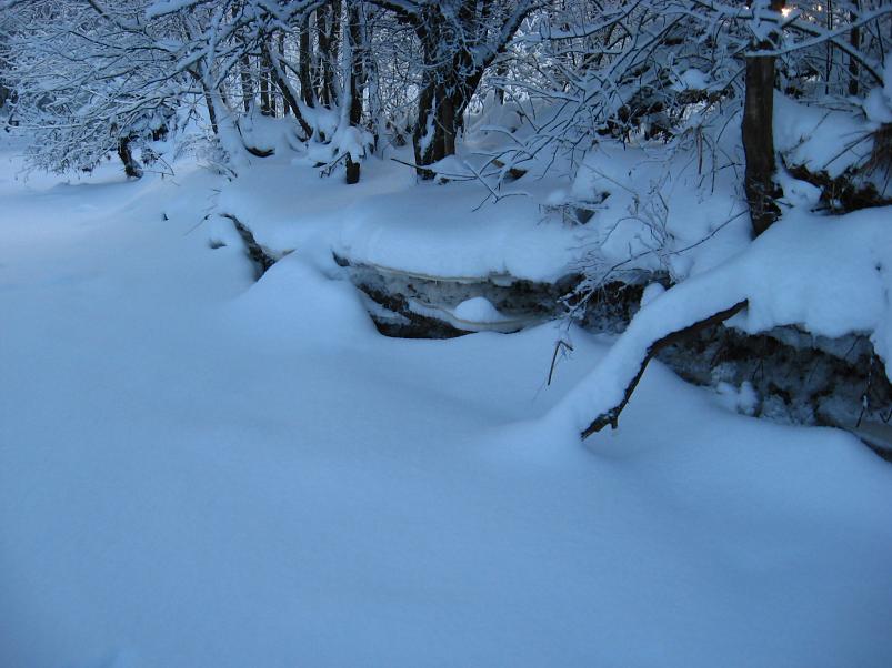 P�drasoos jaan. 2010