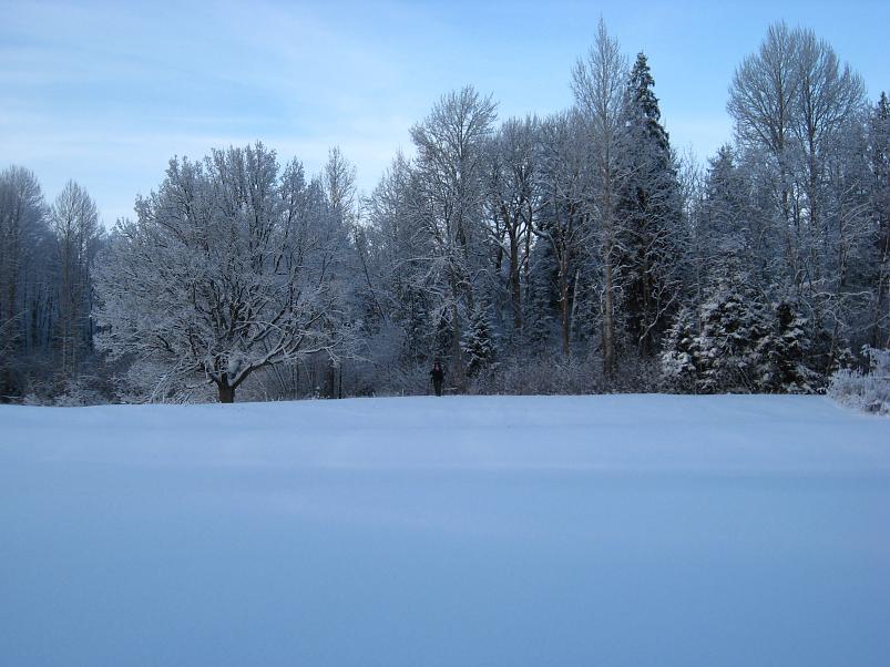 P�drasoos jaan. 2010