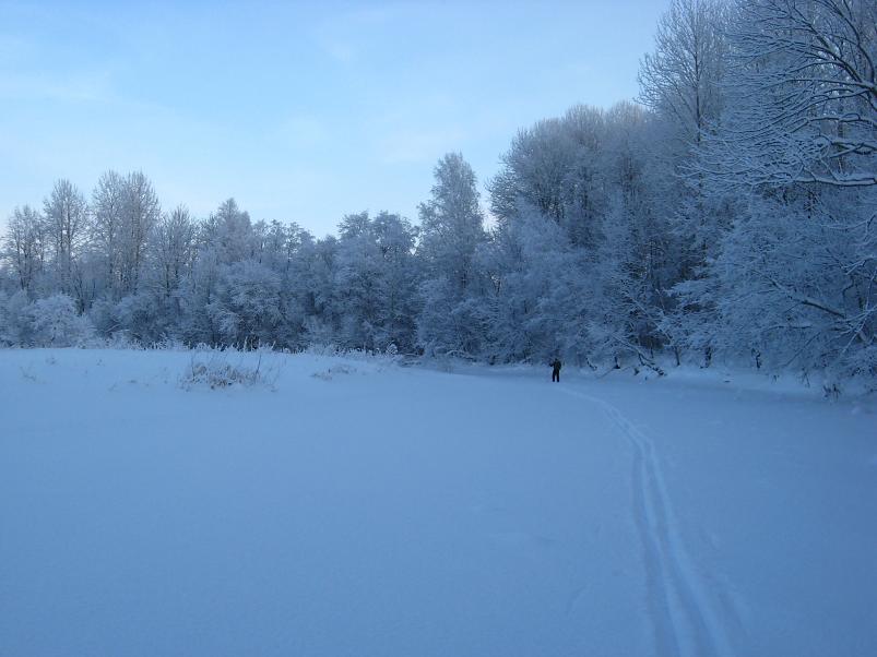 P�drasoos jaan. 2010