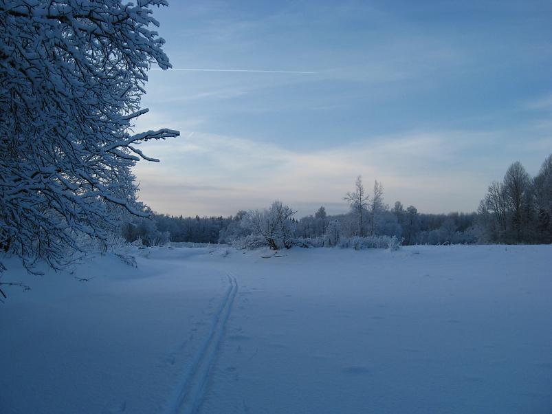 P�drasoos jaan. 2010